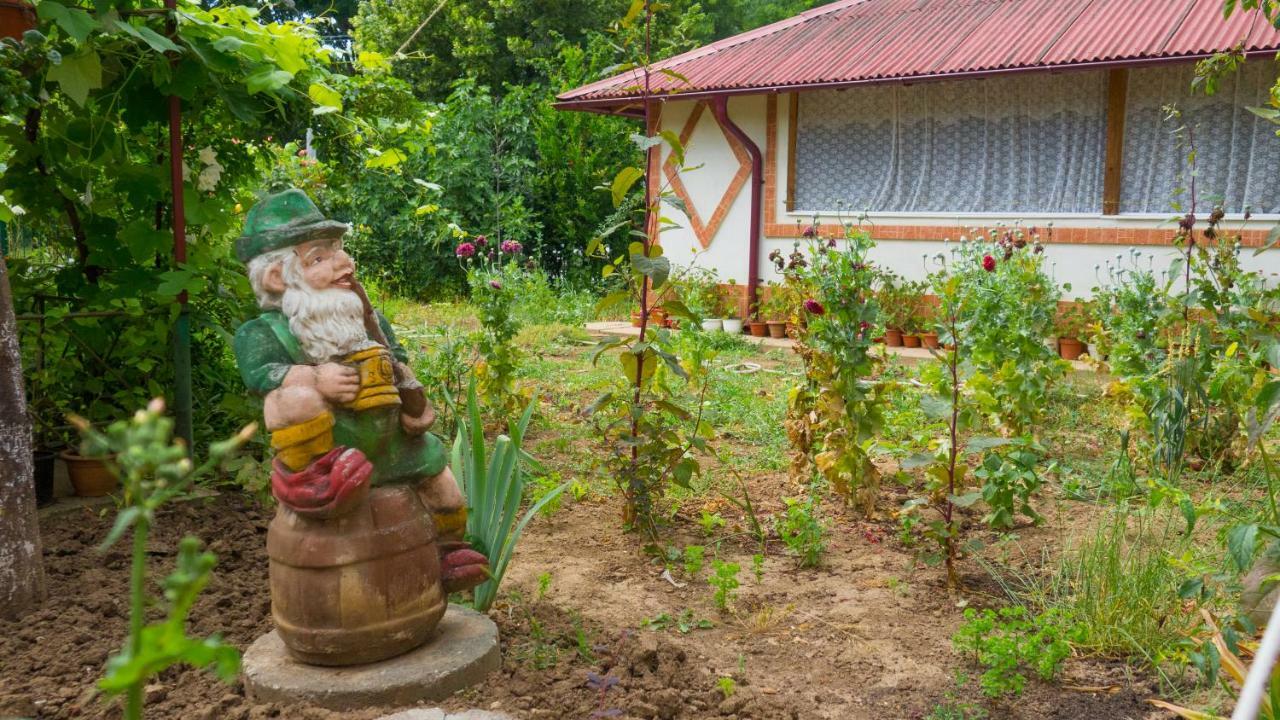 Casa Din Gradina Villa เอโฟรีเอซูด ภายนอก รูปภาพ