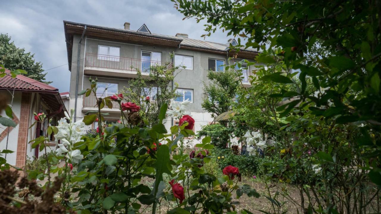 Casa Din Gradina Villa เอโฟรีเอซูด ภายนอก รูปภาพ