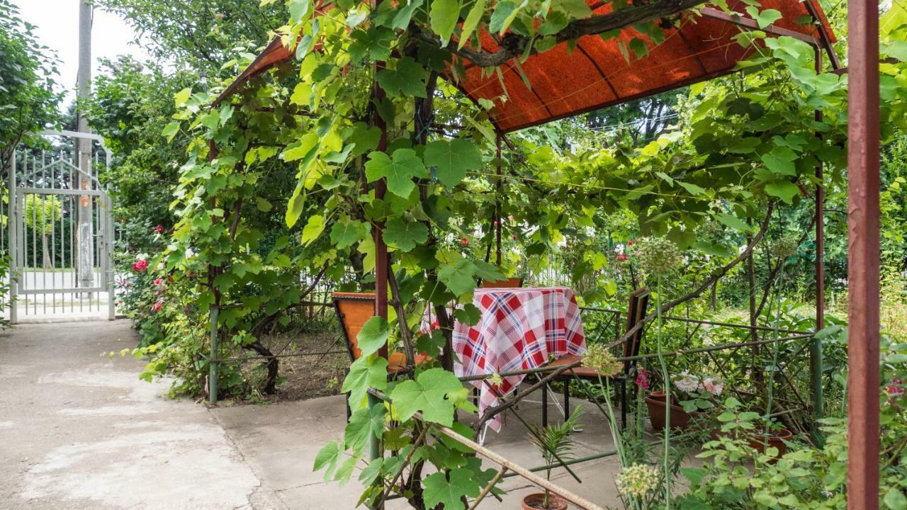 Casa Din Gradina Villa เอโฟรีเอซูด ภายนอก รูปภาพ